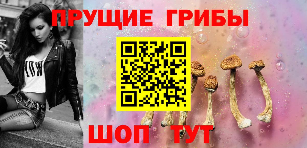 Псилоцибиновые грибы Psilocybine cubensis Кимовск