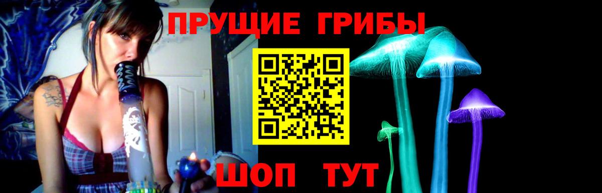 Кимовск  Псилоцибиновые грибы Psilocybine cubensis  Вход с VPN 